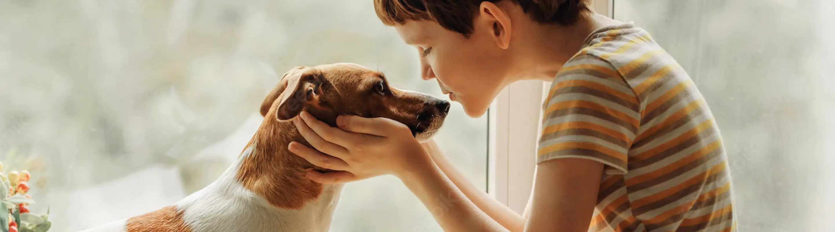 botany petcare products and services