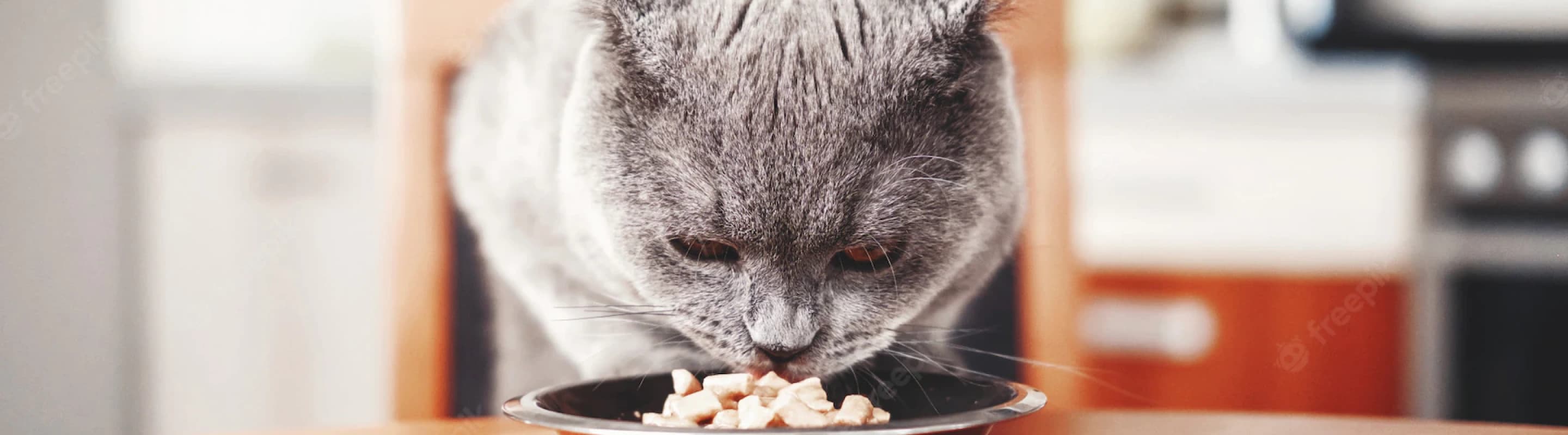 botany petcare products and services