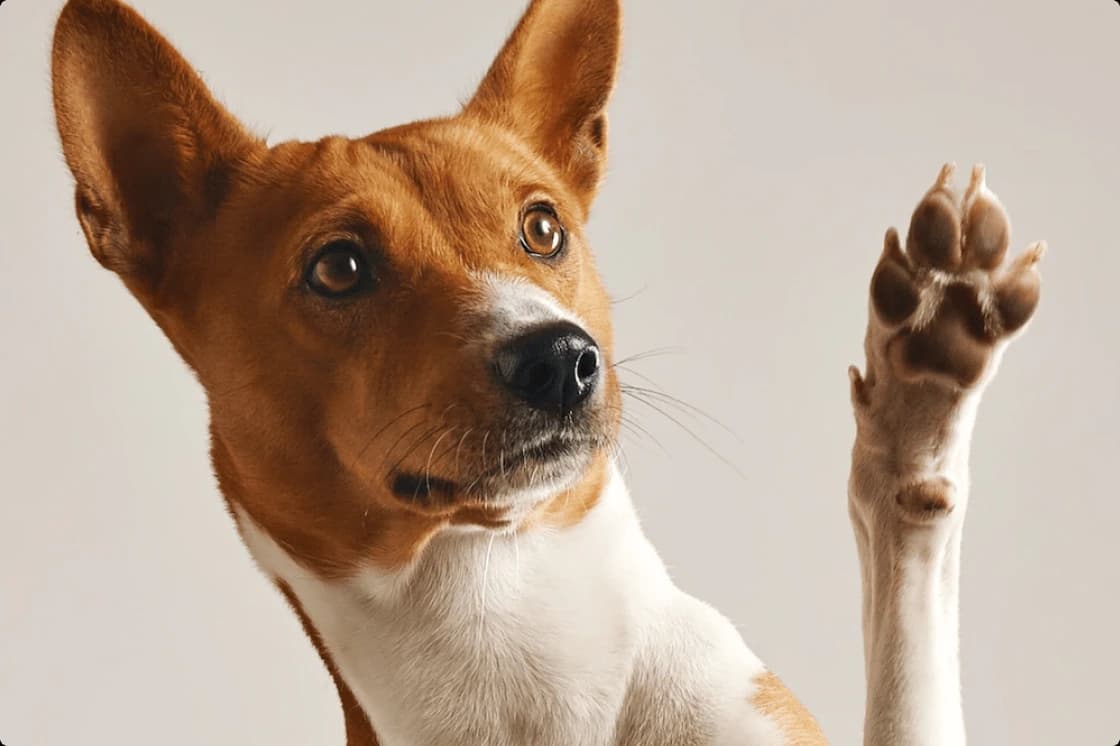 Transportation service