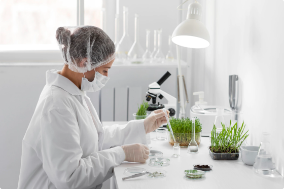 image-product-formulation product-formulation