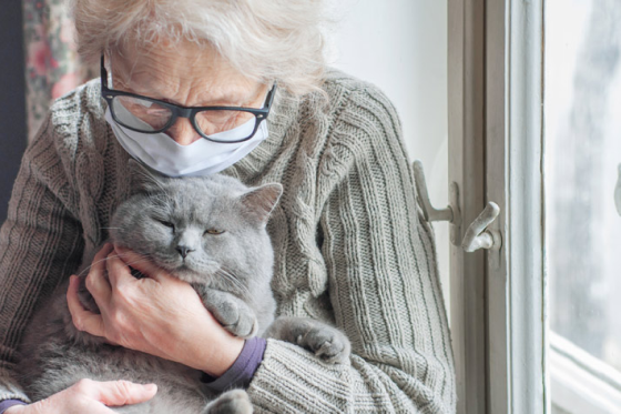 image-senior-cat senior-cat