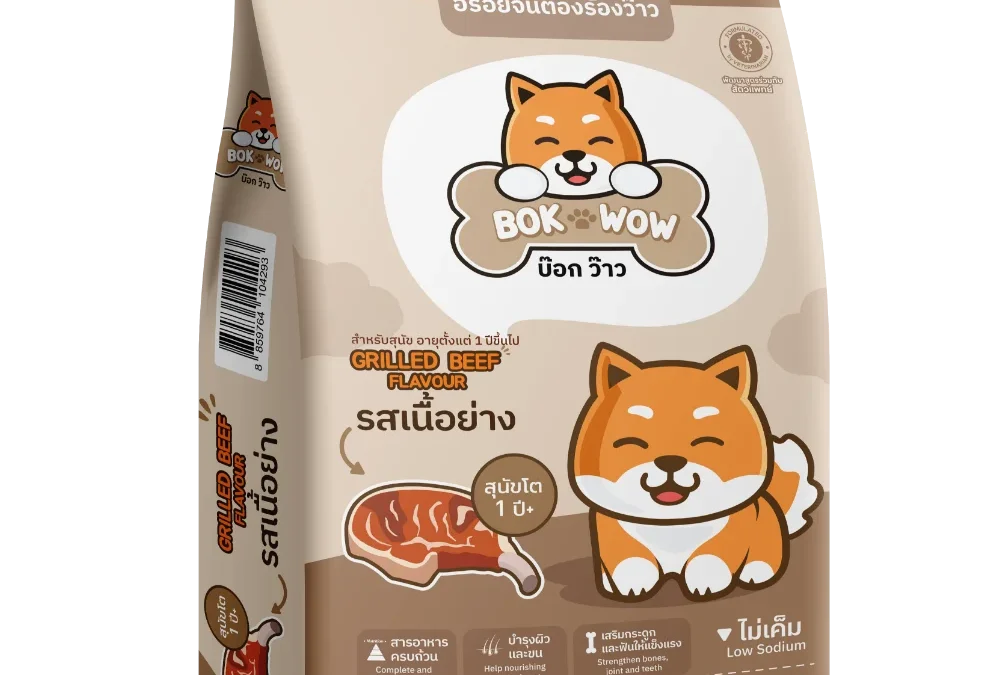 BOK WOW GRILLED BEEF FLAVOUR